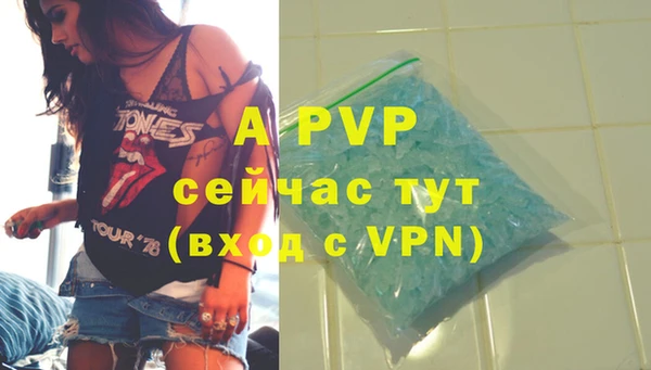 ГАЛЛЮЦИНОГЕННЫЕ ГРИБЫ Заводоуковск