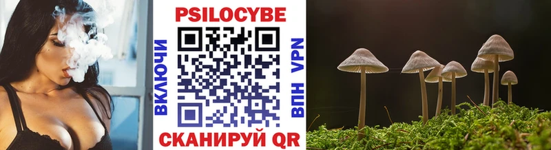 МЕГА рабочий сайт  Кола  Галлюциногенные грибы MAGIC MUSHROOMS  хочу наркоту 
